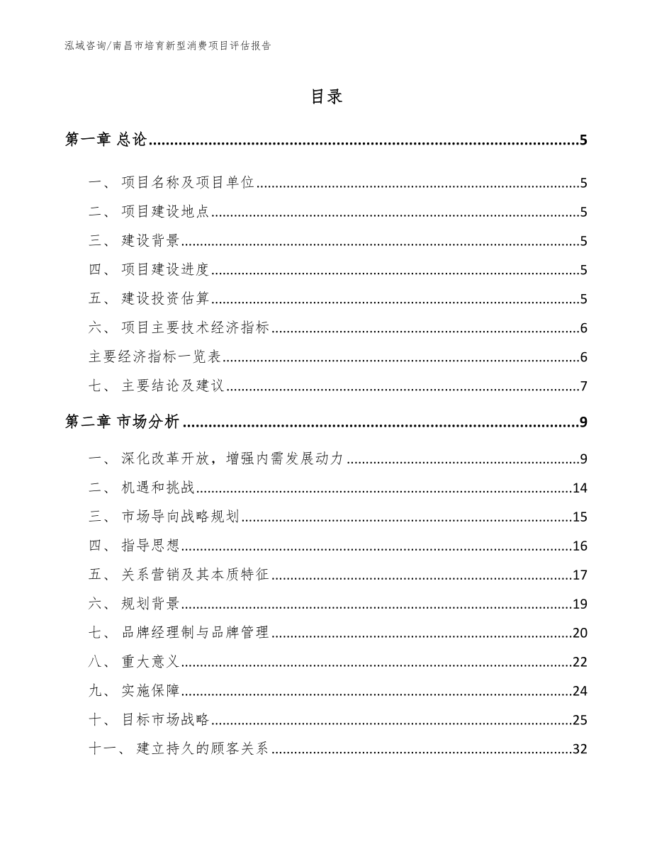 南昌市培育新型消费项目评估报告_模板范本_第1页
