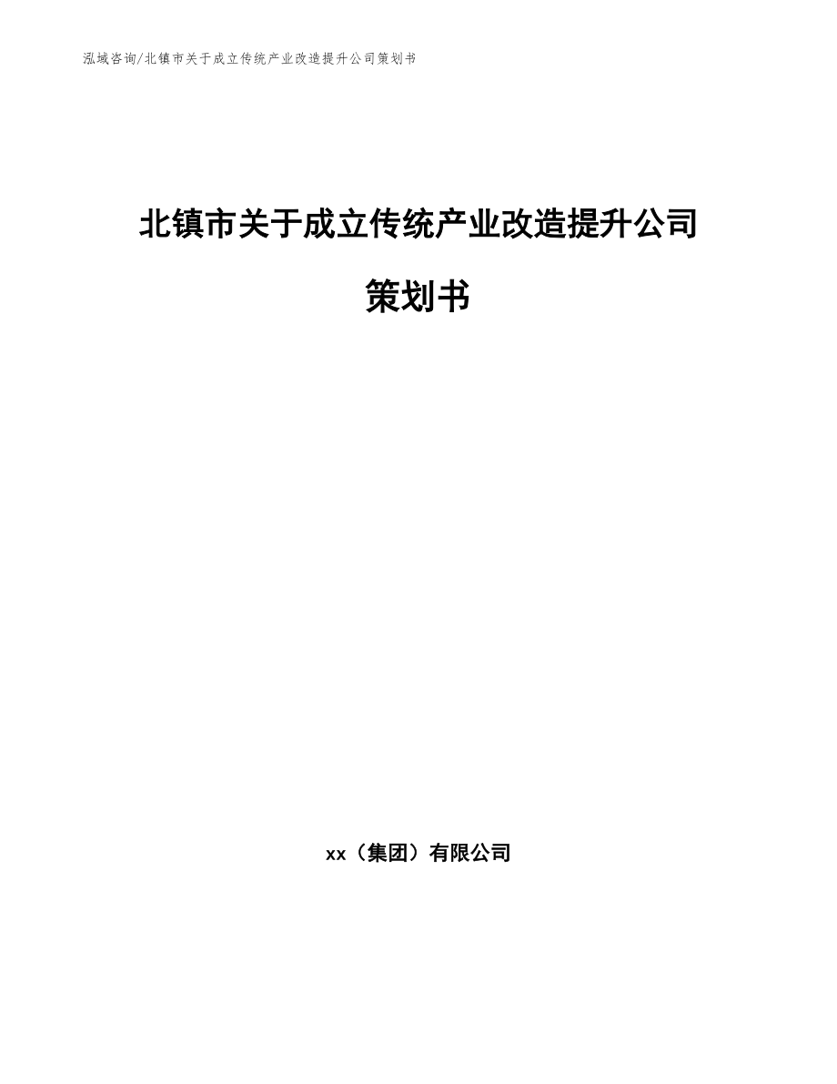 北镇市关于成立传统产业改造提升公司策划书_第1页