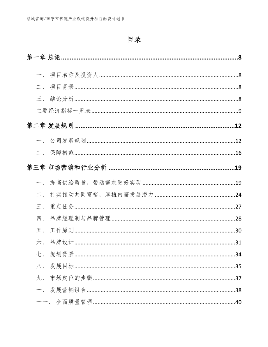 南宁市传统产业改造提升项目融资计划书_参考范文_第1页