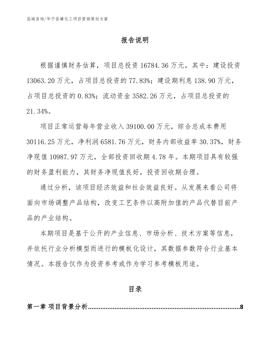 华宁县磷化工项目营销策划方案_模板_第1页