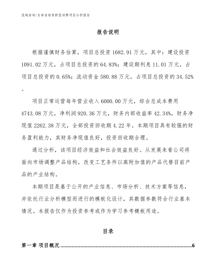 吉林省培育新型消费项目分析报告_第1页