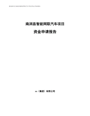 南涧县智能网联汽车项目资金申请报告_范文