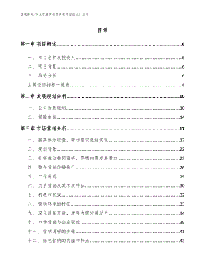 和龙市培育新型消费项目创业计划书