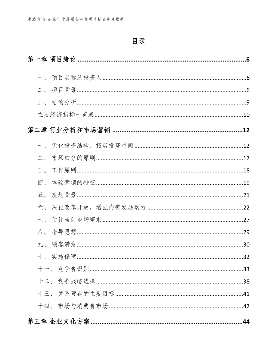 南京市发展服务消费项目招商引资报告（范文模板）_第1页