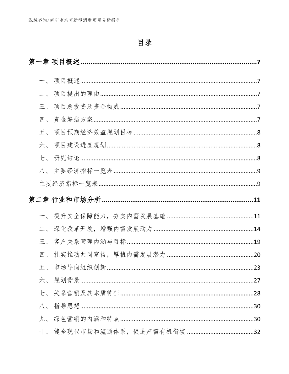 南宁市培育新型消费项目分析报告_第1页