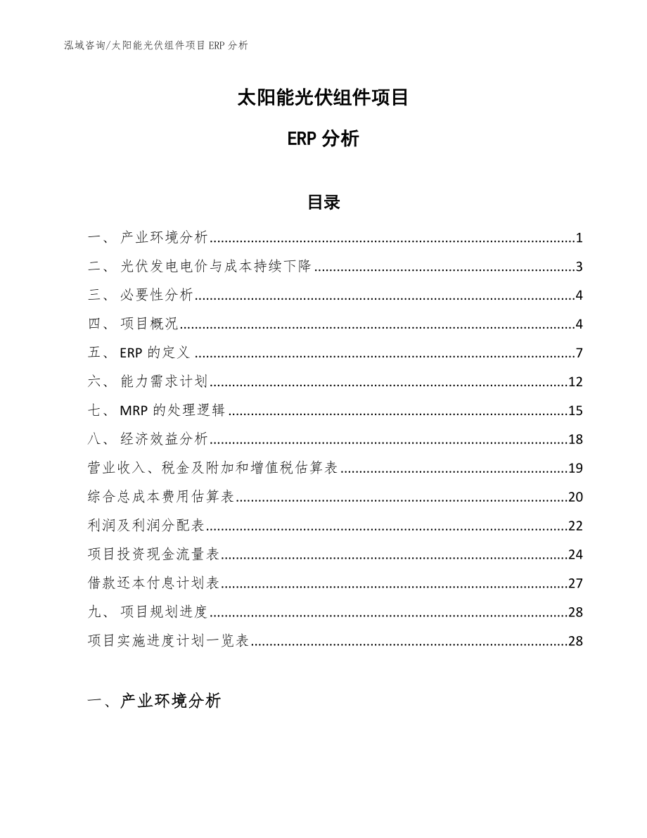 太阳能光伏组件项目ERP分析（范文）_第1页