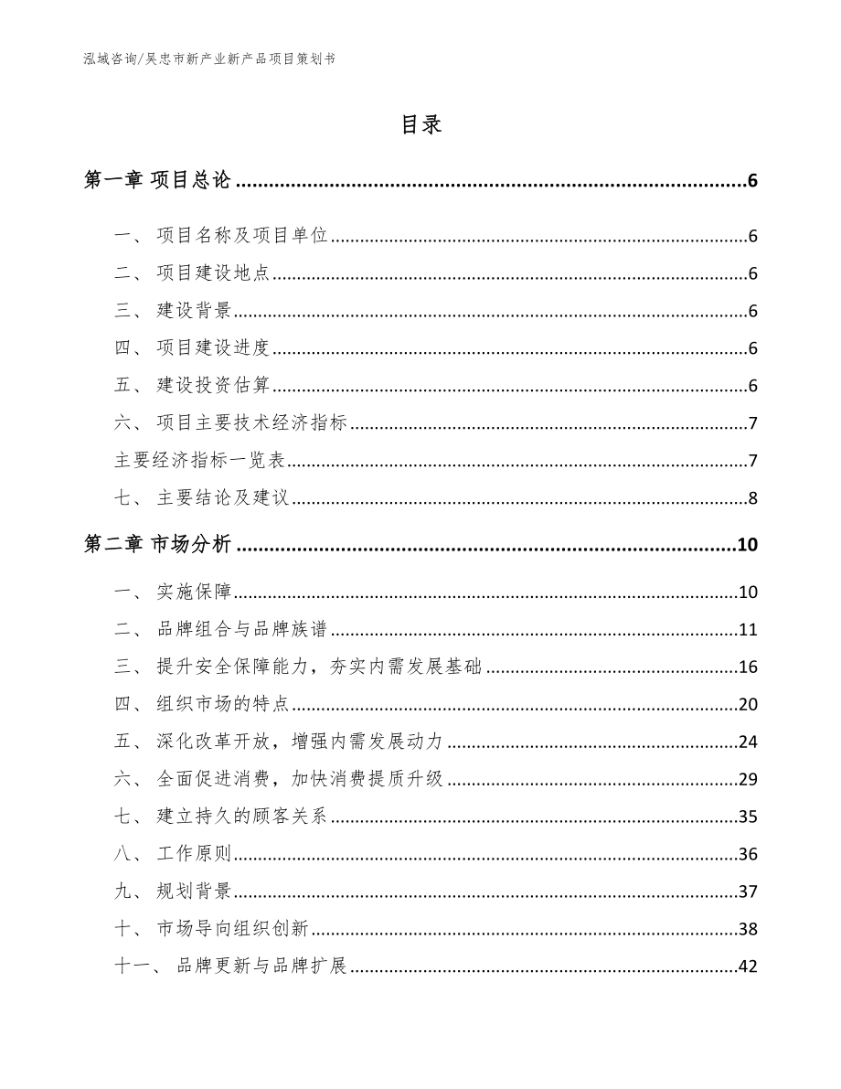 吴忠市新产业新产品项目策划书_模板范本_第1页