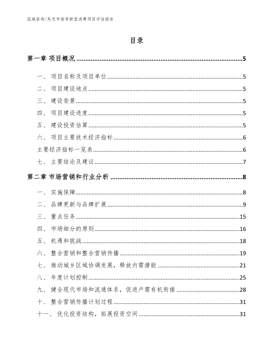 吴忠市培育新型消费项目评估报告_第1页