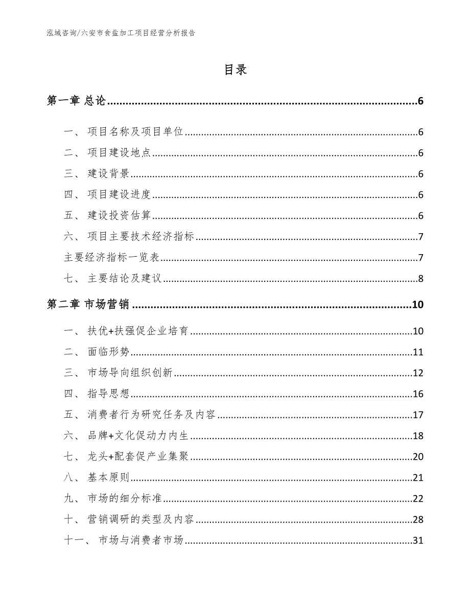 六安市食盐加工项目经营分析报告（模板范本）_第1页