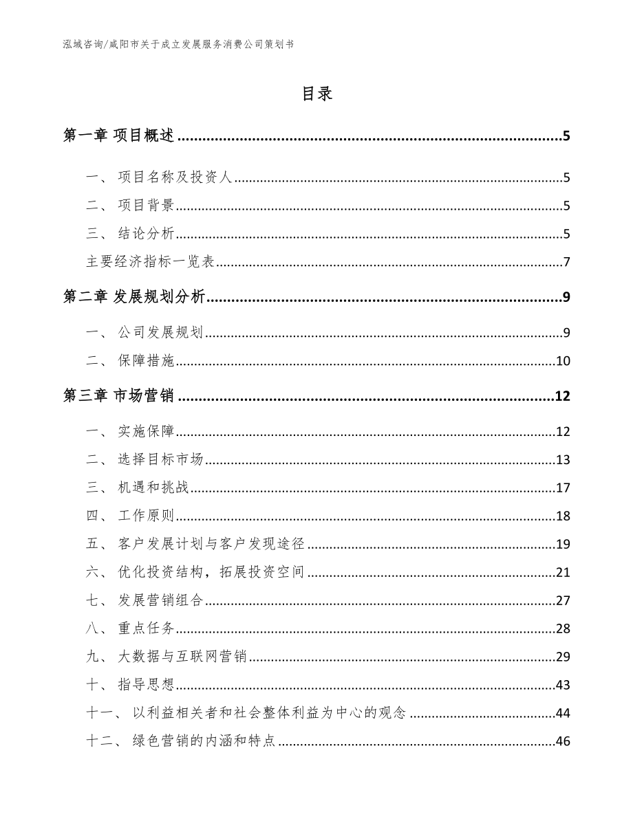 咸阳市关于成立发展服务消费公司策划书【模板范文】_第1页