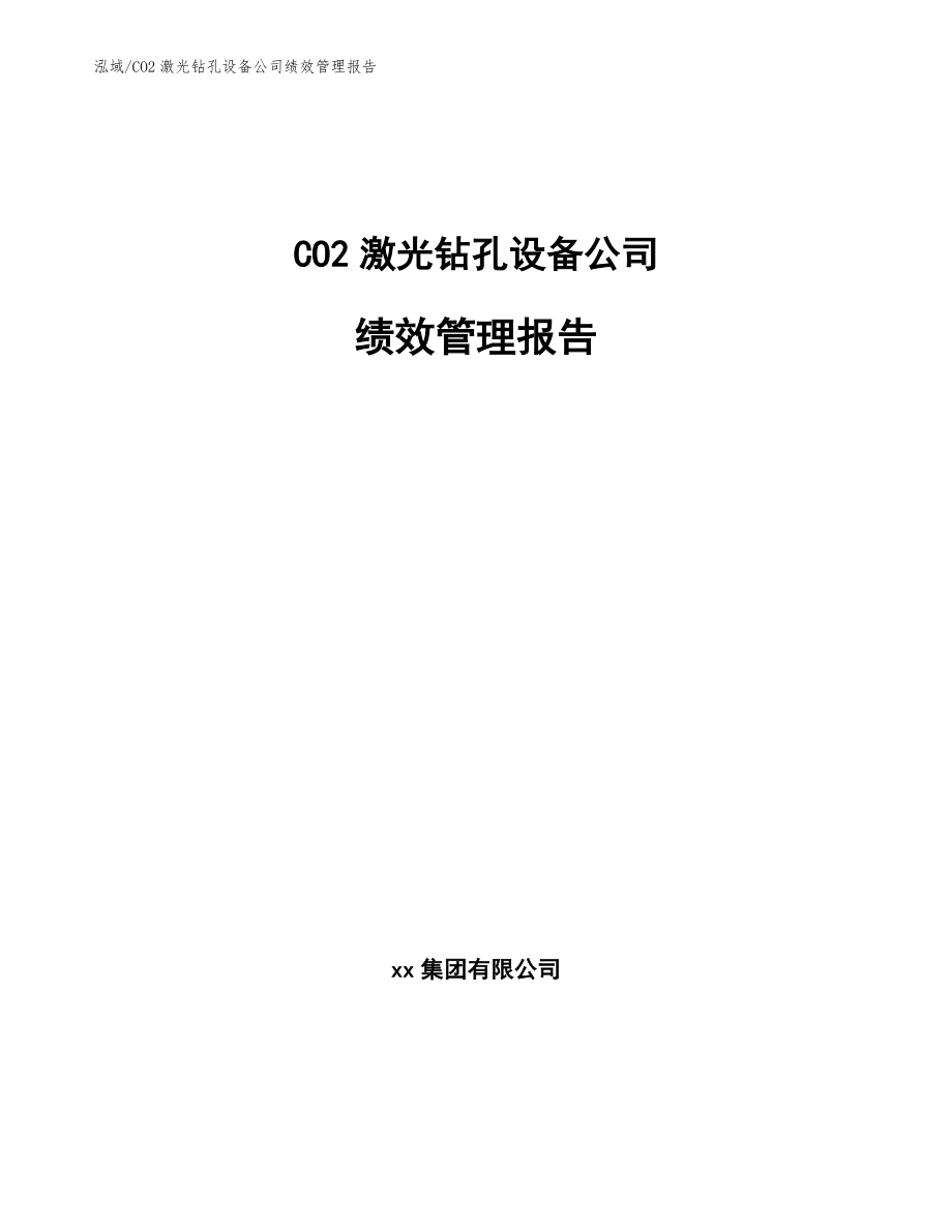 CO2激光钻孔设备公司绩效管理报告_第1页