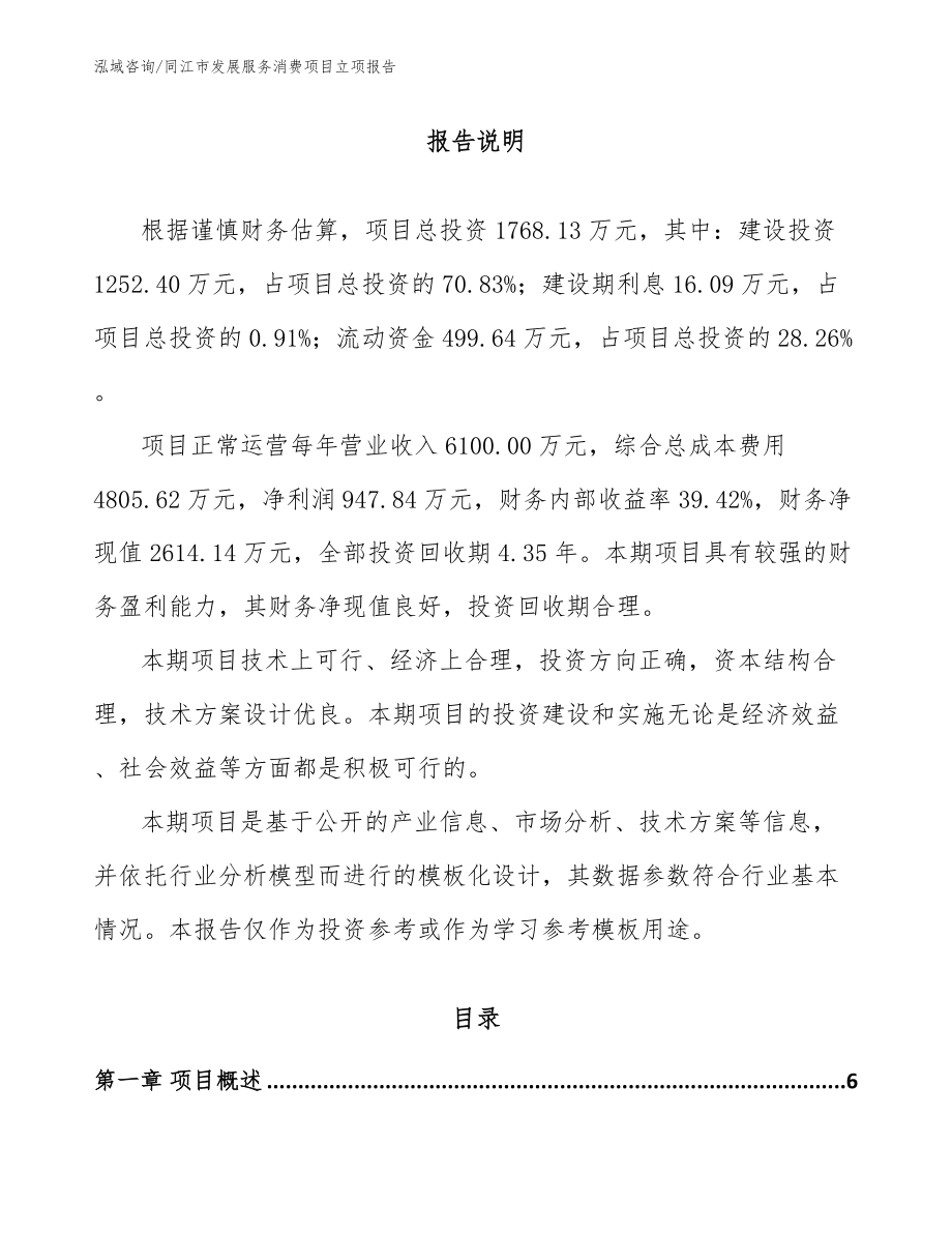 同江市发展服务消费项目立项报告_模板范文_第1页