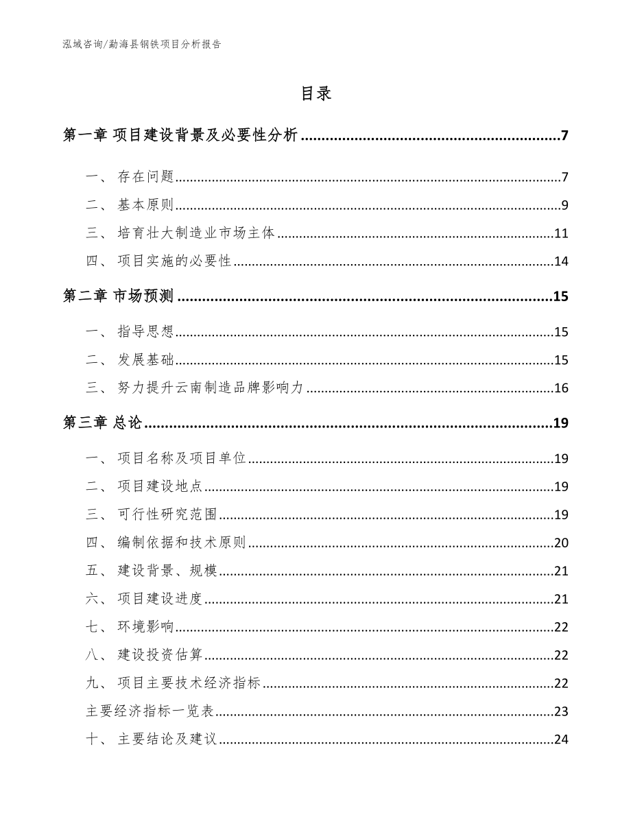 勐海县钢铁项目分析报告（模板）_第1页
