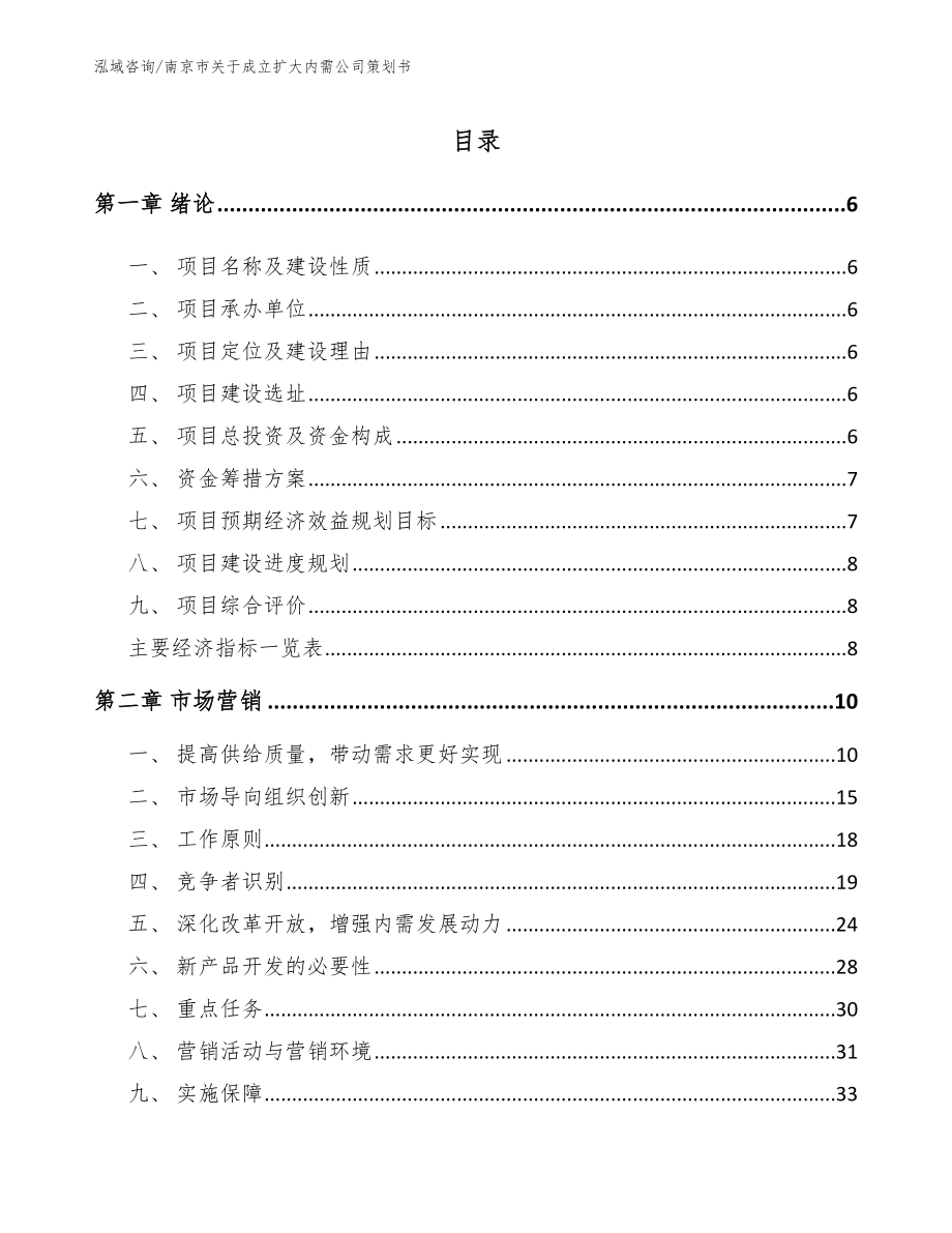 南京市关于成立扩大内需公司策划书_第1页