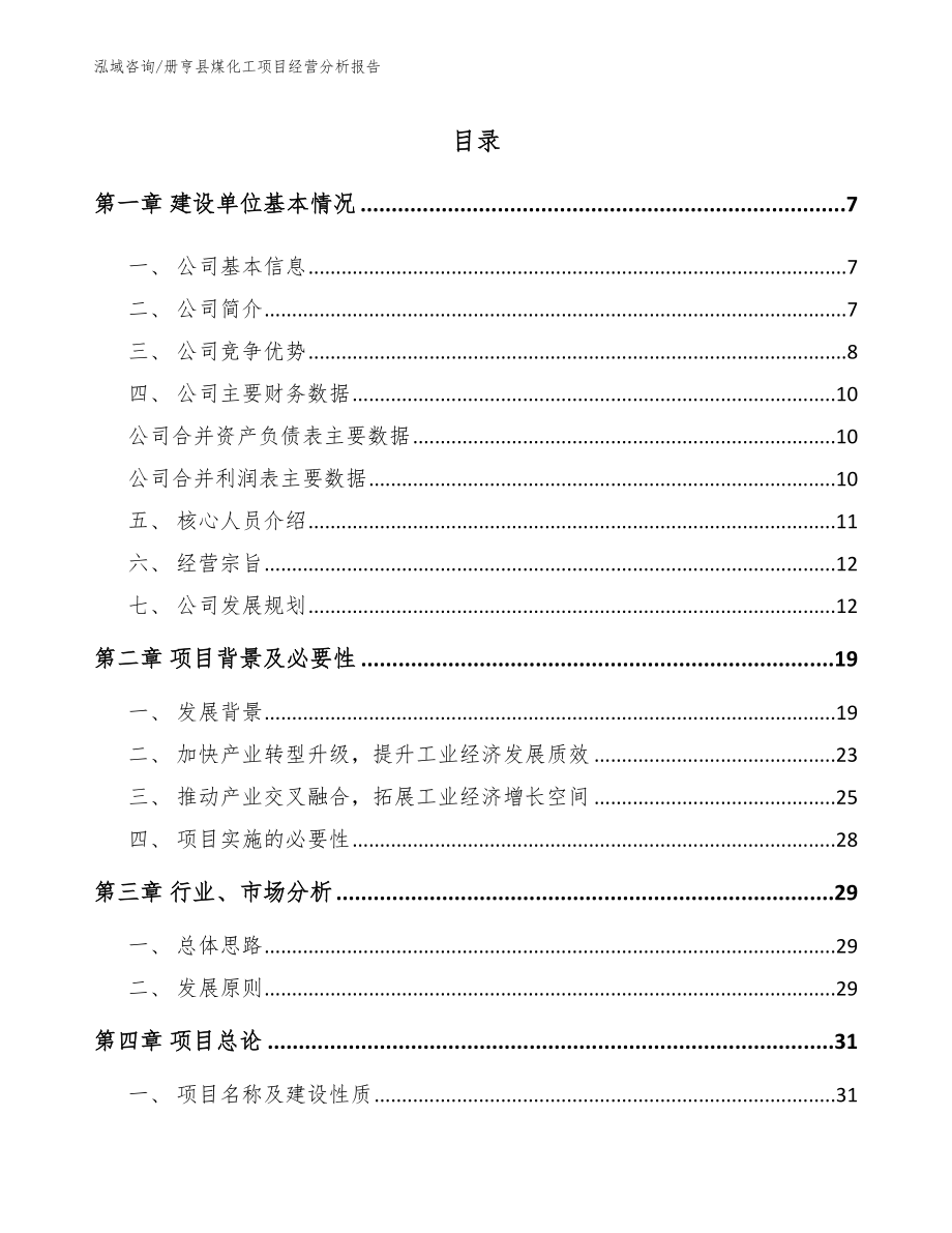 册亨县煤化工项目经营分析报告_第1页