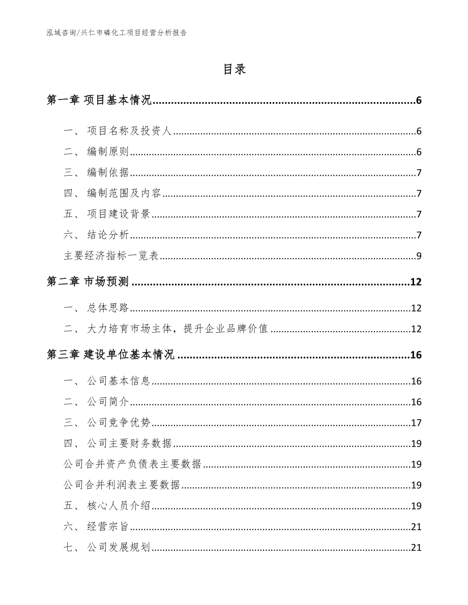 兴仁市磷化工项目经营分析报告_模板参考_第1页