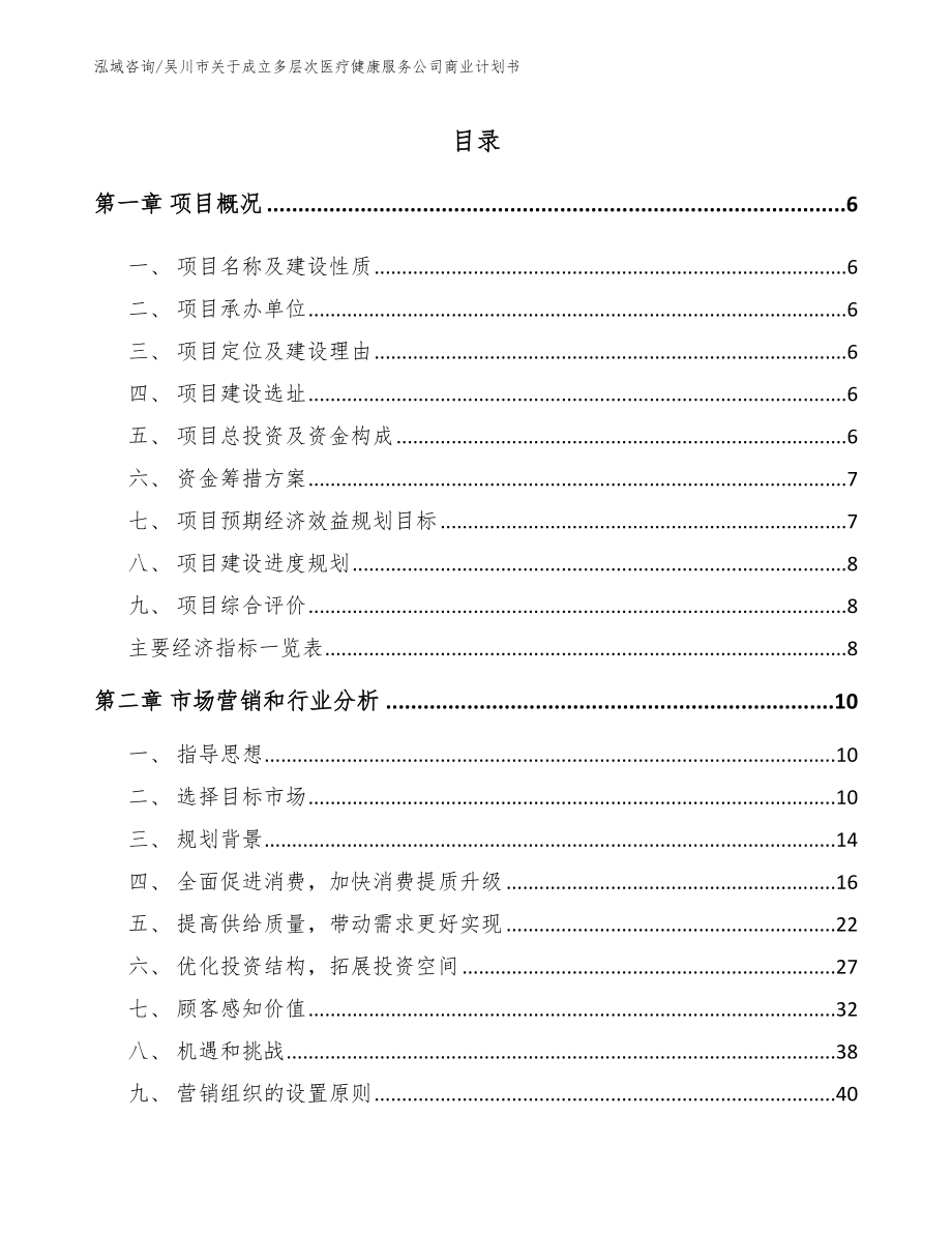 吴川市关于成立多层次医疗健康服务公司商业计划书参考模板_第1页