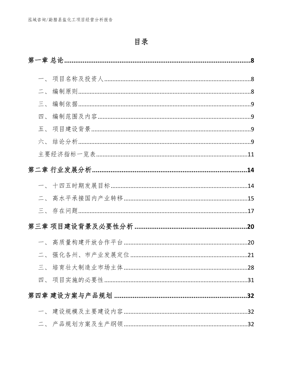 勐腊县盐化工项目经营分析报告（范文模板）_第1页