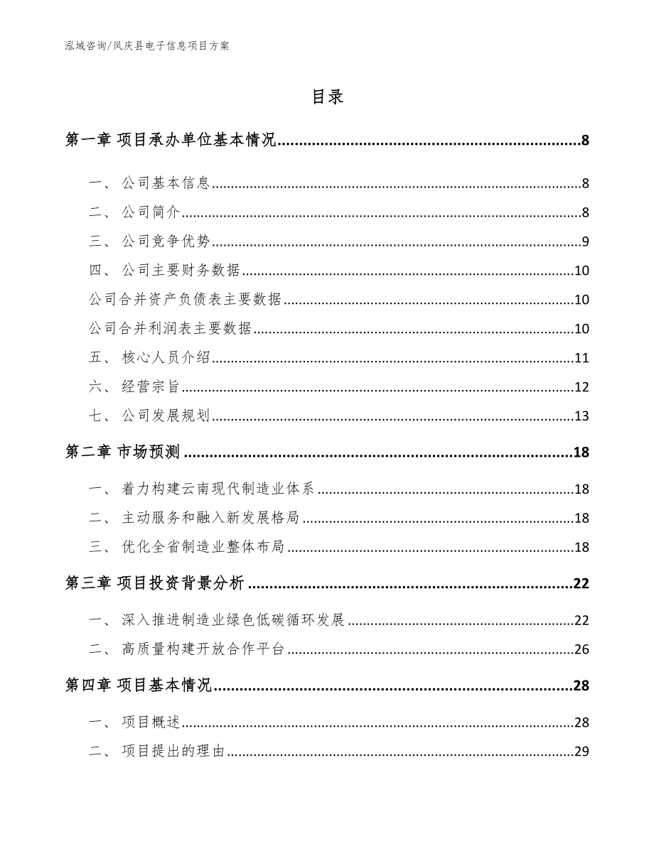 凤庆县电子信息项目方案_模板_第1页