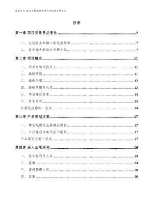 南涧县新能源电池项目经营分析报告（模板）