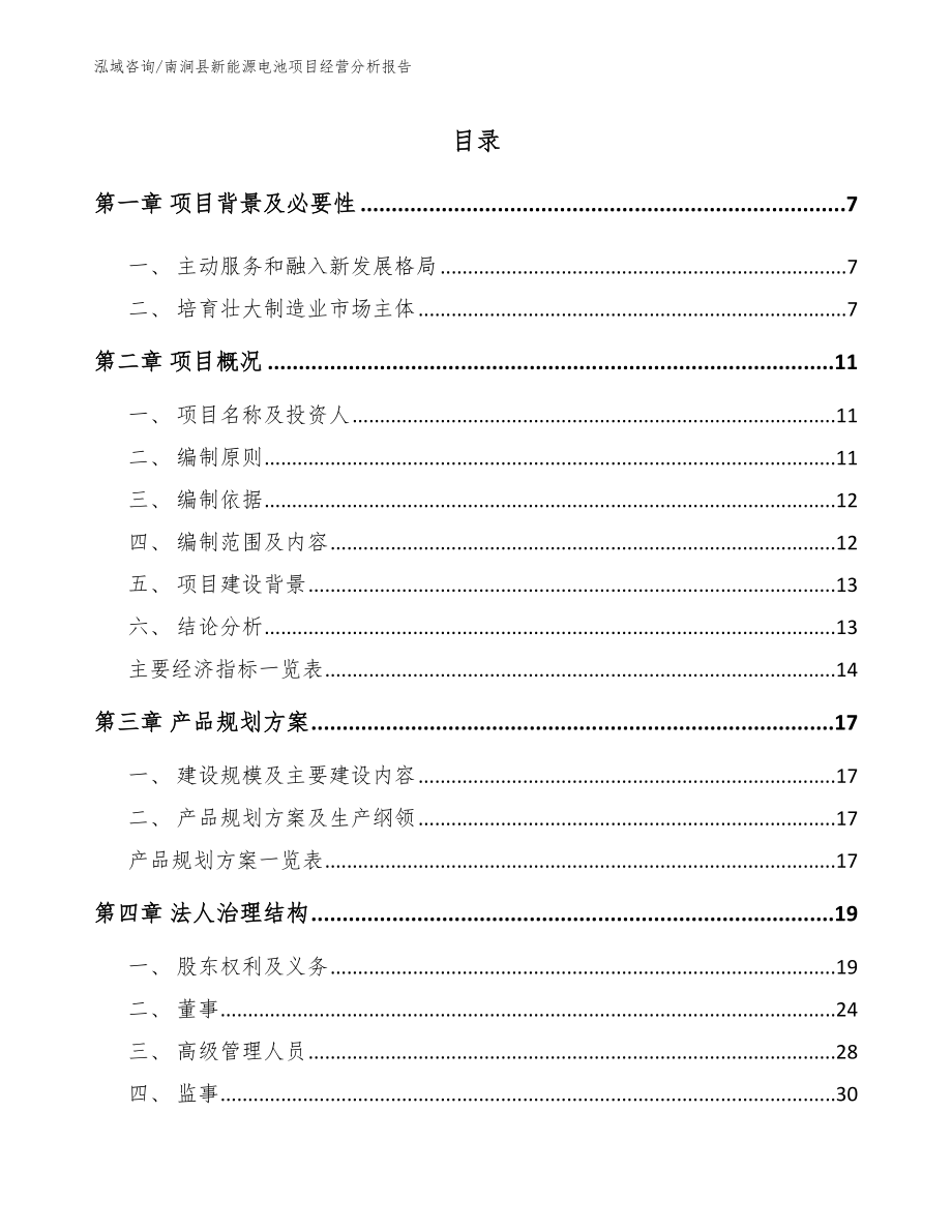 南涧县新能源电池项目经营分析报告（模板）_第1页