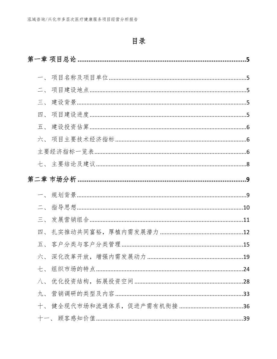 兴化市多层次医疗健康服务项目经营分析报告【范文】_第1页