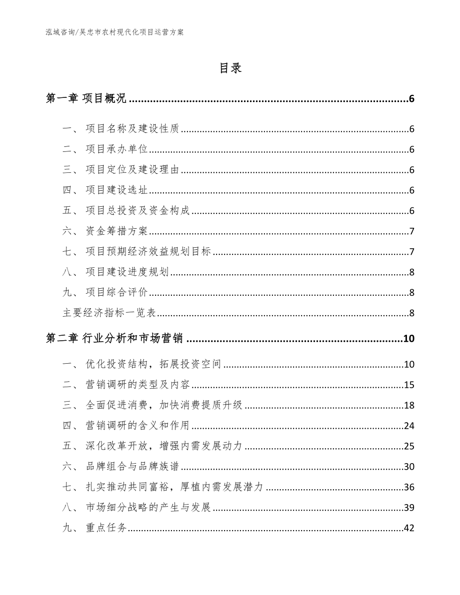 吴忠市农村现代化项目运营方案（模板参考）_第1页