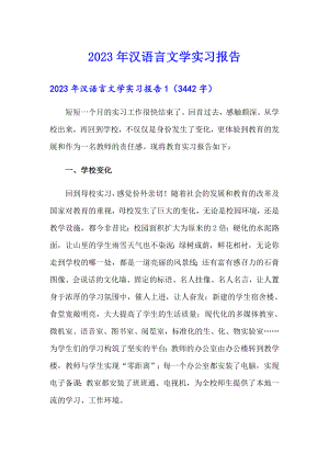（精编）2023年汉语言文学实习报告