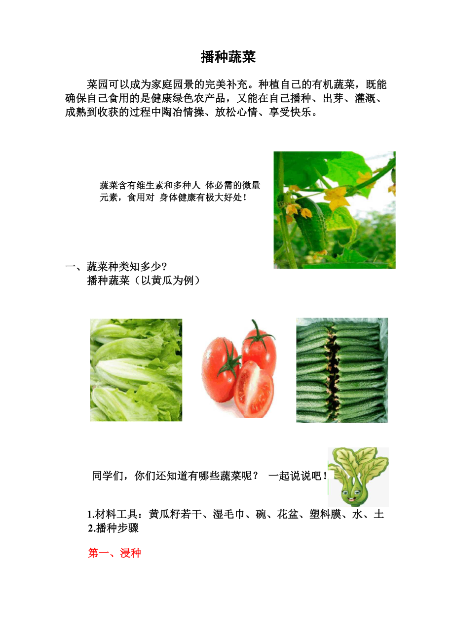 劳动课程《播种蔬菜》_第1页