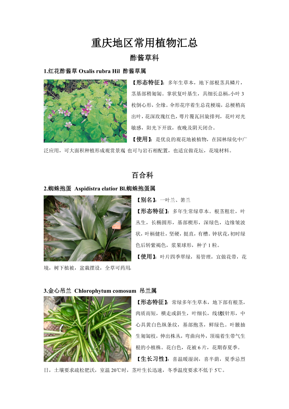 重庆地区常用植物_第1页