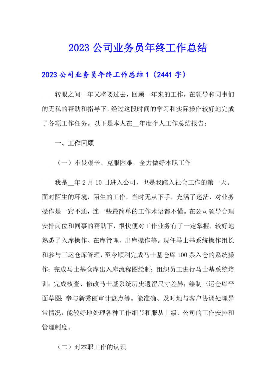 （多篇）2023公司业务员年终工作总结_第1页