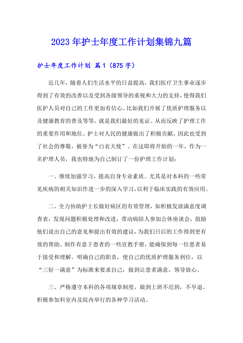 2023年护士工作计划集锦九篇_第1页