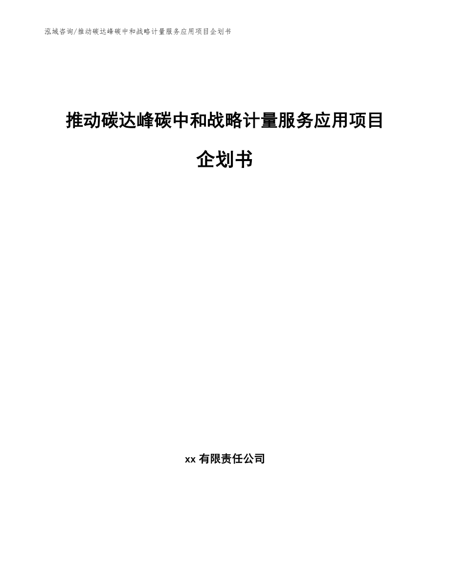 推动碳达峰碳中和战略计量服务应用项目企划书_第1页