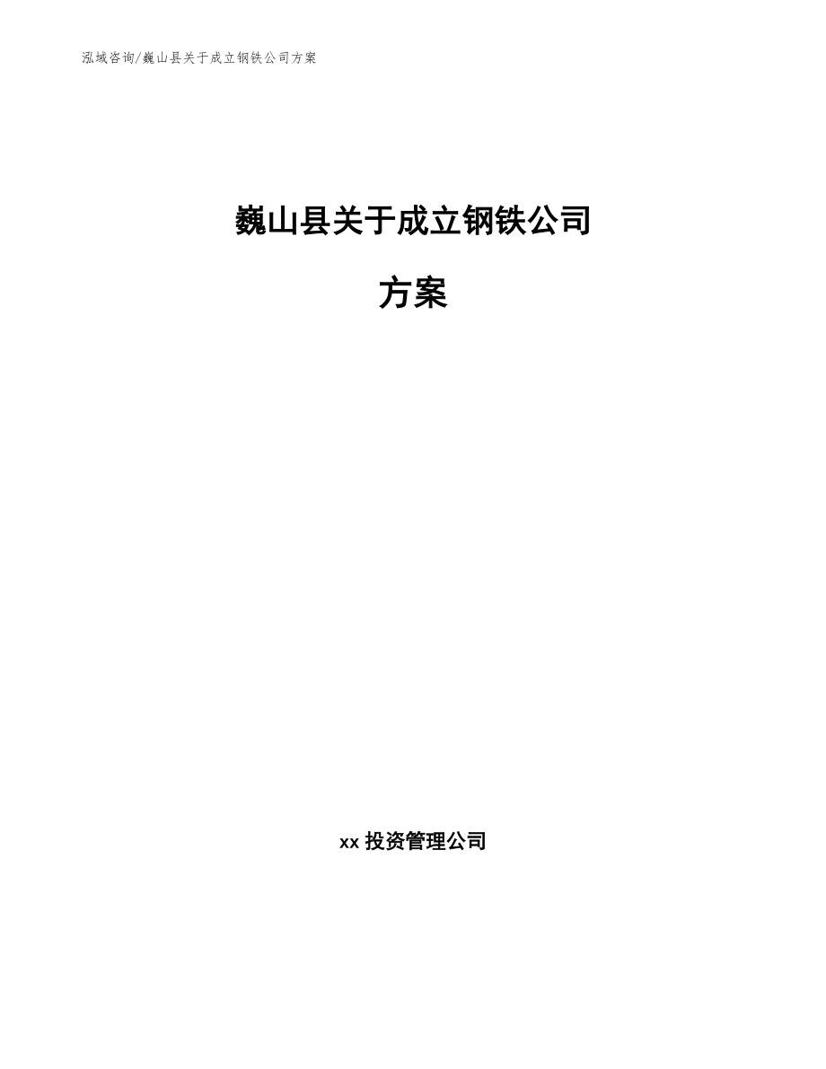 巍山县关于成立钢铁公司方案_第1页