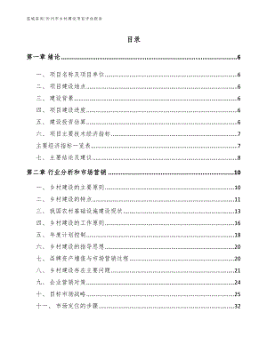 忻州市乡村建设项目评估报告（范文）