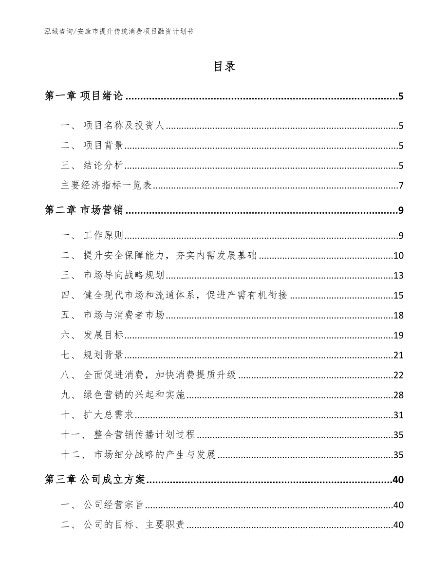 安康市提升传统消费项目融资计划书_模板_第1页