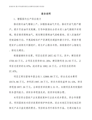 惠州市能源资源安全保障项目招商引资报告【范文参考】