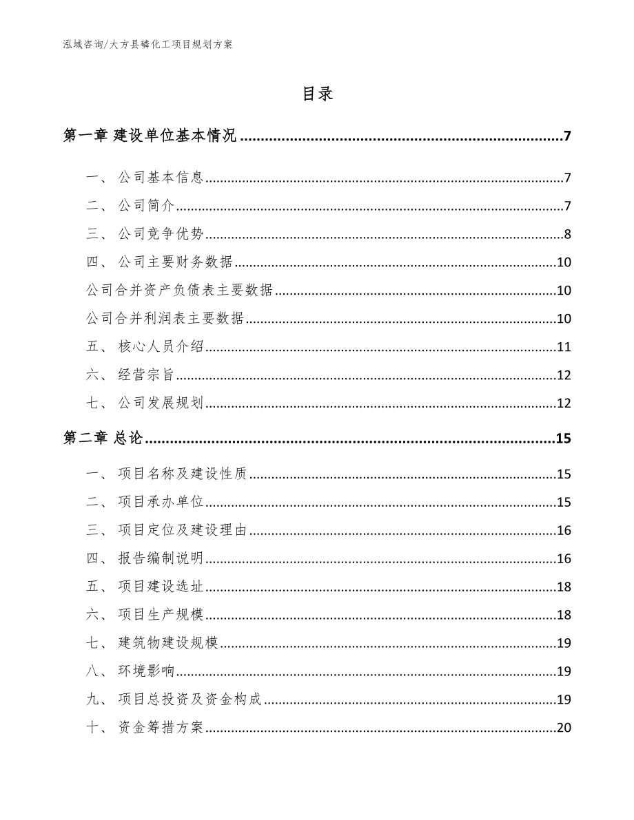 大方县磷化工项目规划方案【模板范文】_第1页