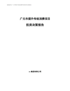 广元市提升传统消费项目投资决策报告【参考范文】