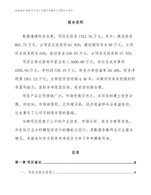岷县关于成立计量应用服务公司商业计划书