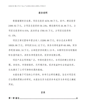 嫩江市关于成立产业链供应链安全保障公司策划书（模板范本）