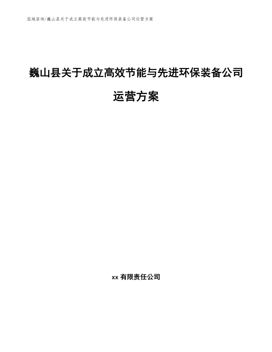 巍山县关于成立高效节能与先进环保装备公司运营方案_范文参考_第1页