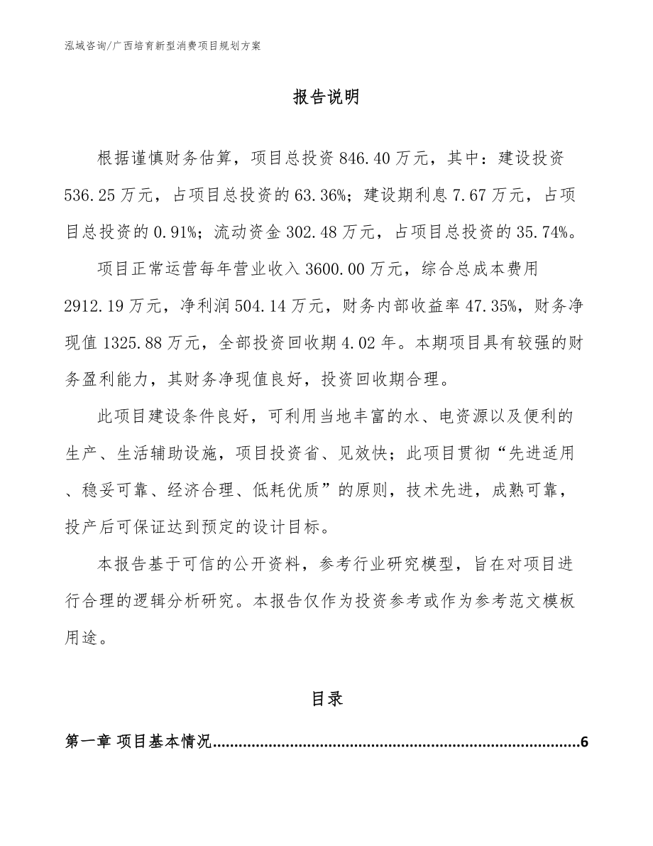 广西培育新型消费项目规划方案_第1页