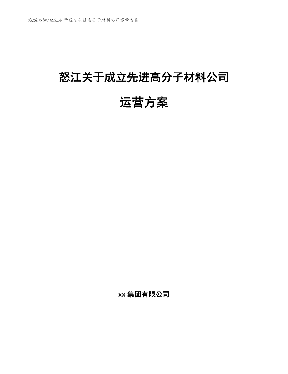 怒江关于成立先进高分子材料公司运营方案（模板）_第1页