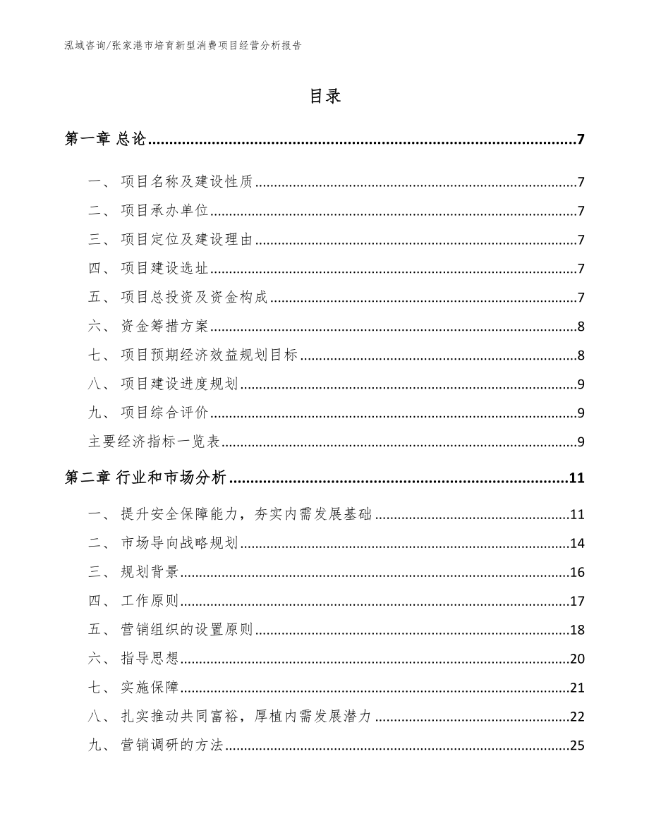张家港市培育新型消费项目经营分析报告（范文参考）_第1页