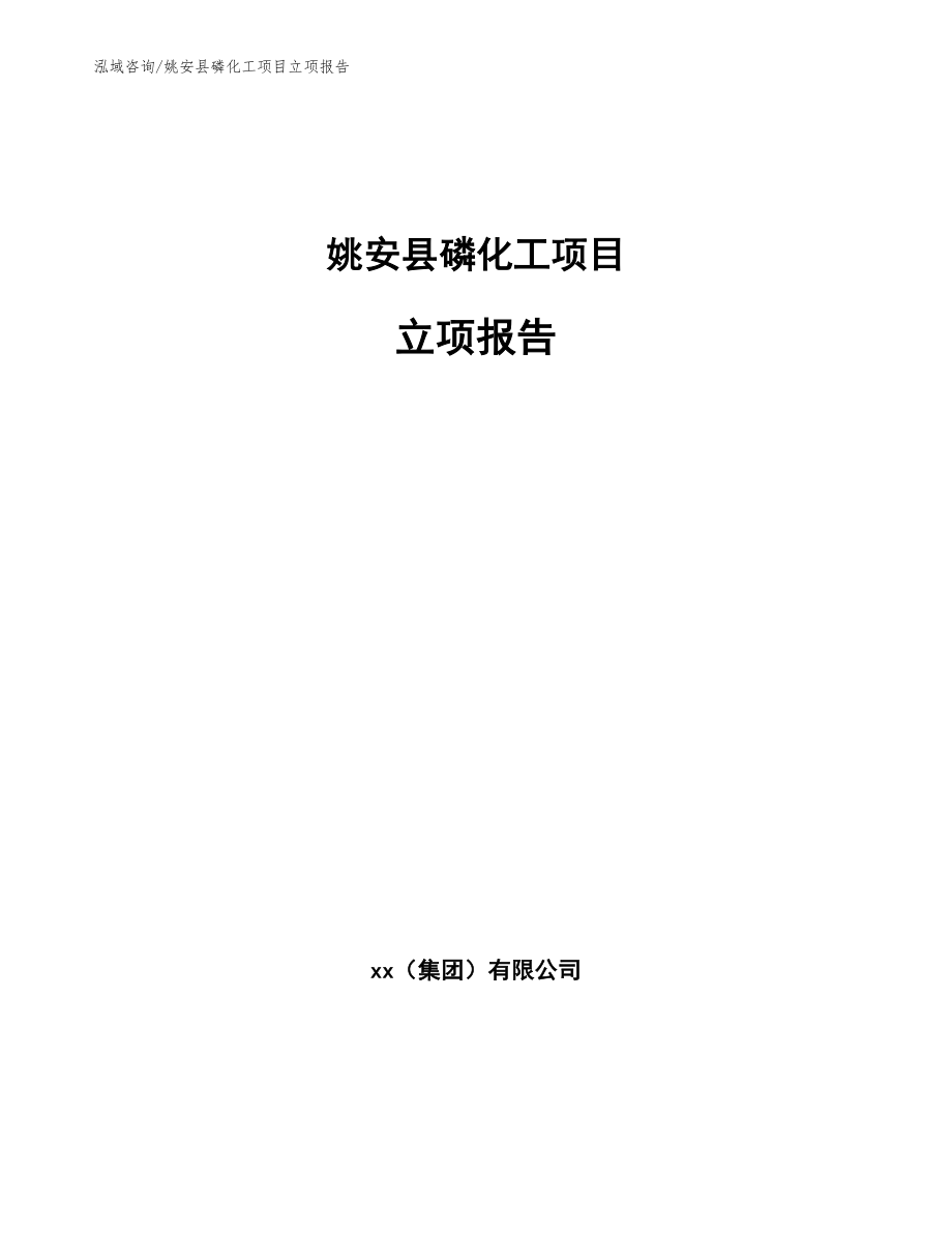 姚安县磷化工项目立项报告_第1页