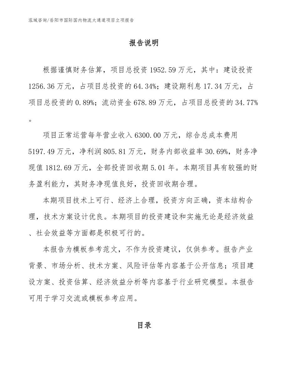 岳阳市国际国内物流大通道项目立项报告范文模板_第1页