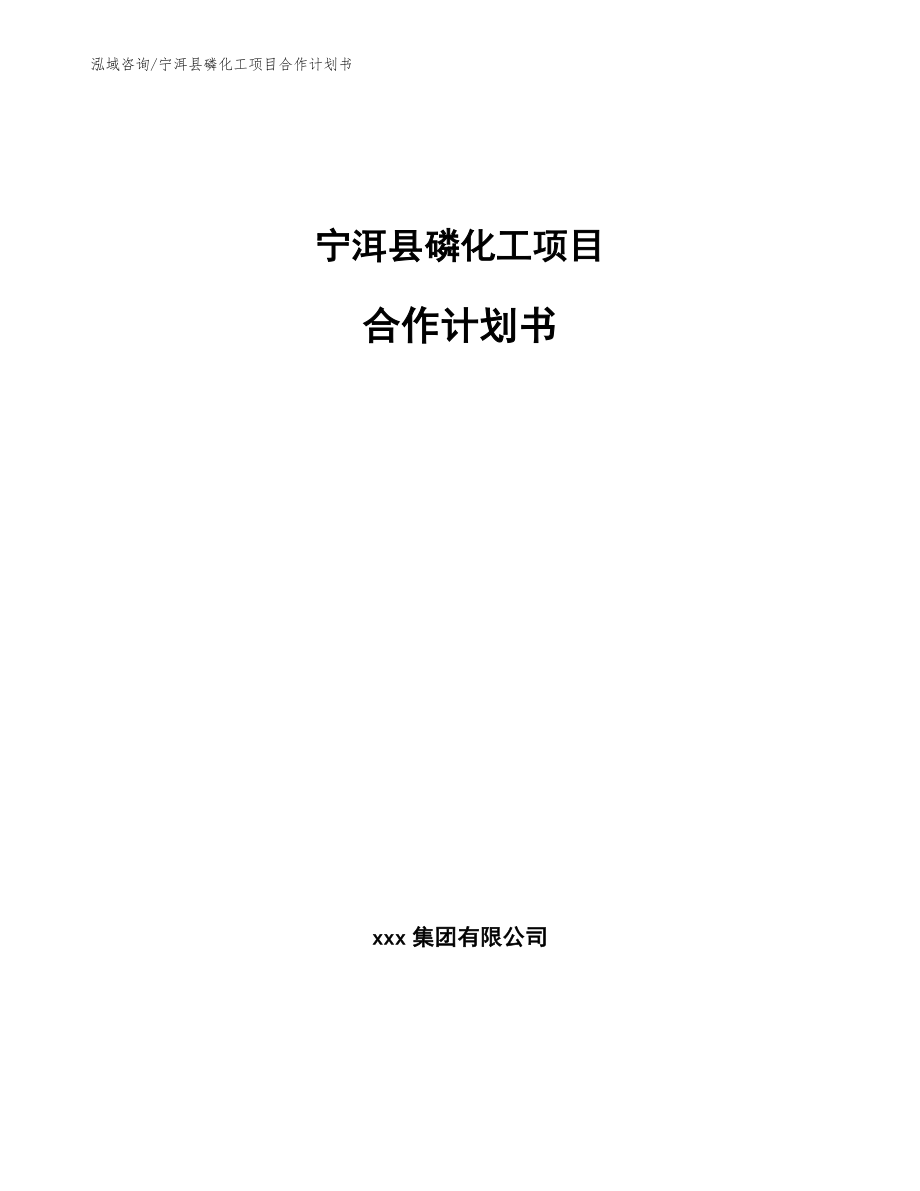 宁洱县磷化工项目合作计划书（模板）_第1页