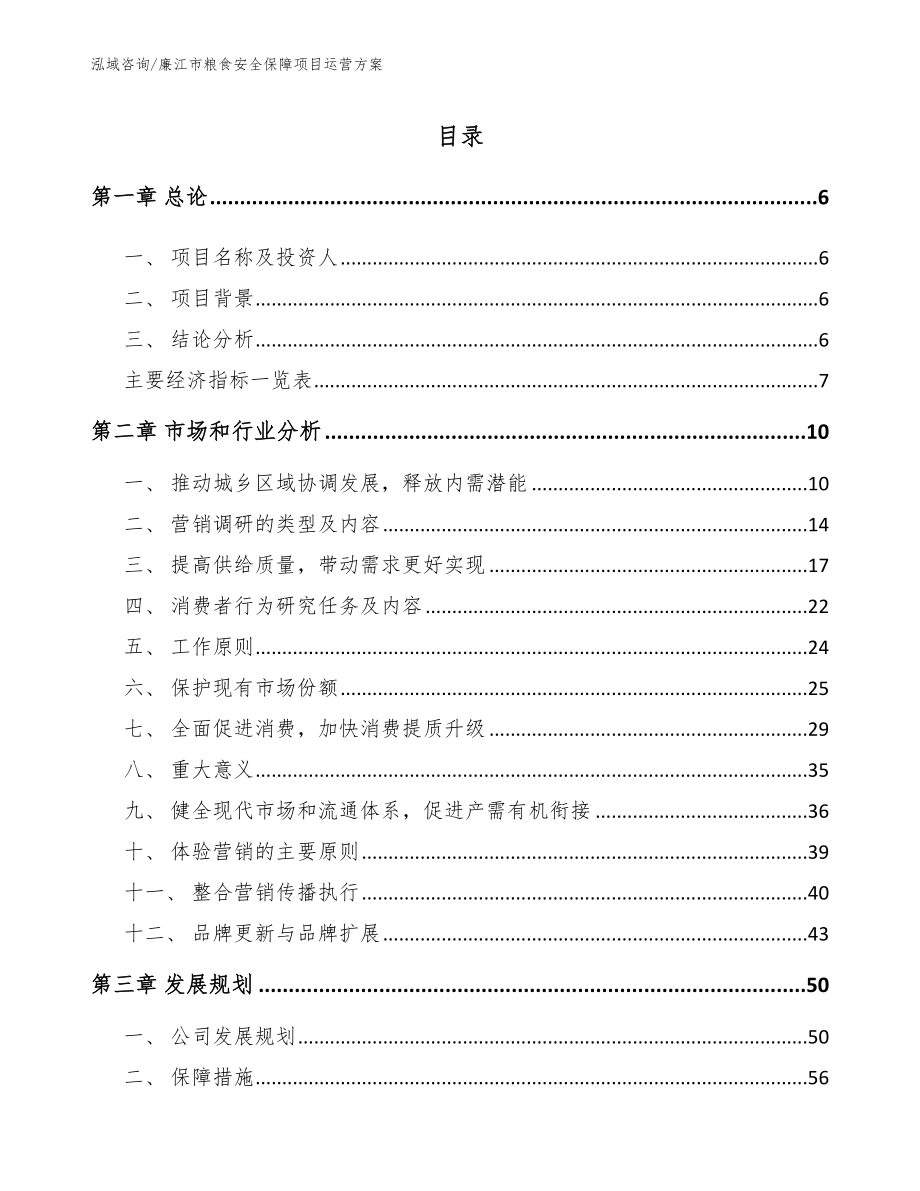 廉江市粮食安全保障项目运营方案（模板范文）_第1页