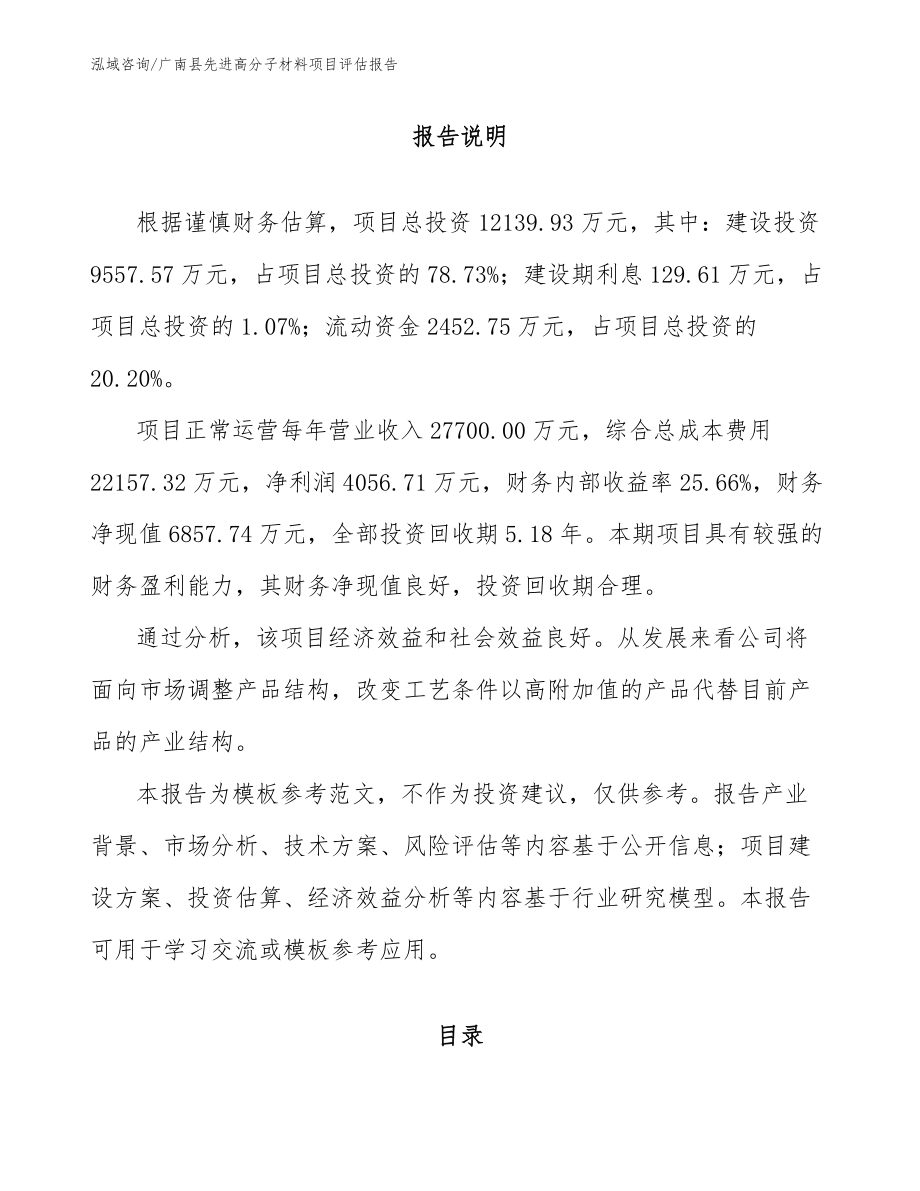 广南县先进高分子材料项目评估报告范文_第1页